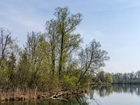 Uferszenario am Happinger Ausee